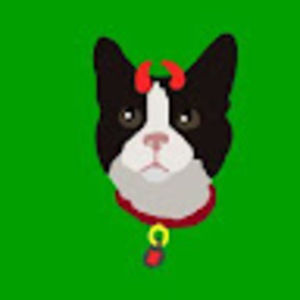 Meet your Posher, Bailey